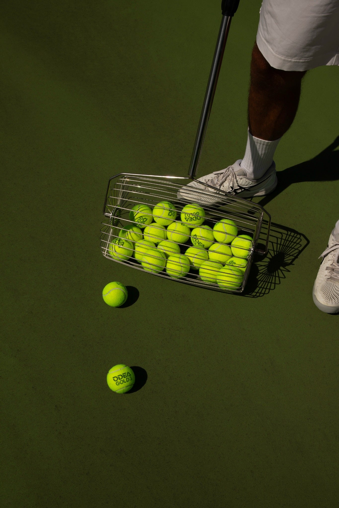 Collecteur de balles ODEA – Capacité 60 balles